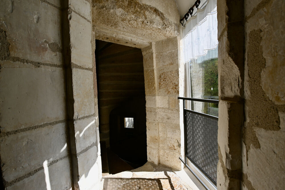 à vendre  Propriété/château Noyers (89310)