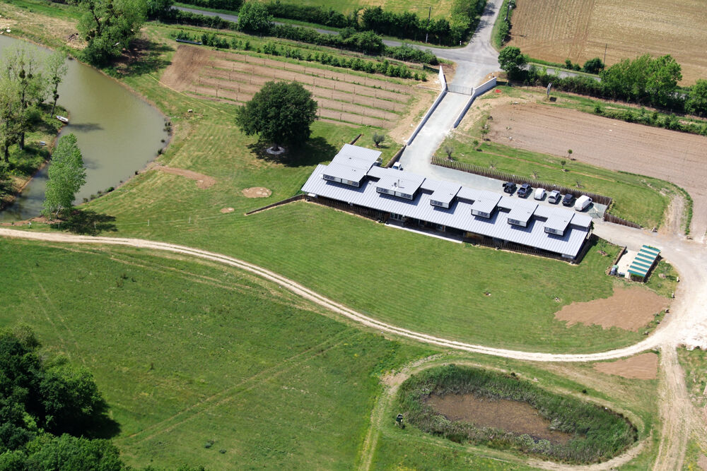 � vendre  Propri�t�/ch�teau Champagne (17620)