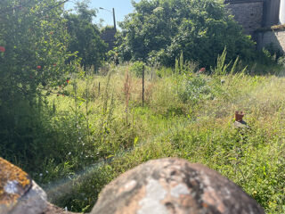  Maison � vendre 2 pi�ces 100 m�