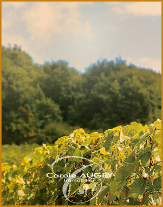  Terrain � vendre 702 m�