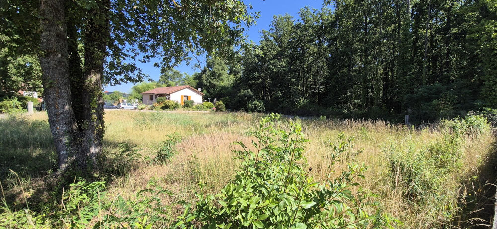 Vente Terrain Terrain constructible 521 m2 Saint romain de jalionas. St romain de jalionas