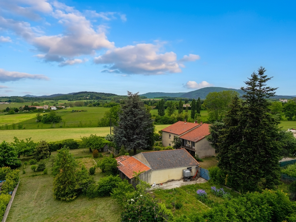 GRANDE MAISON DE FAMILLE - FORT POTENTIEL