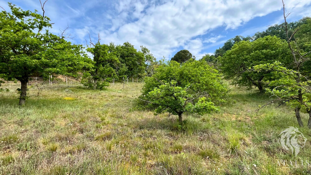 Vente Terrain Opportunité rare Parnans