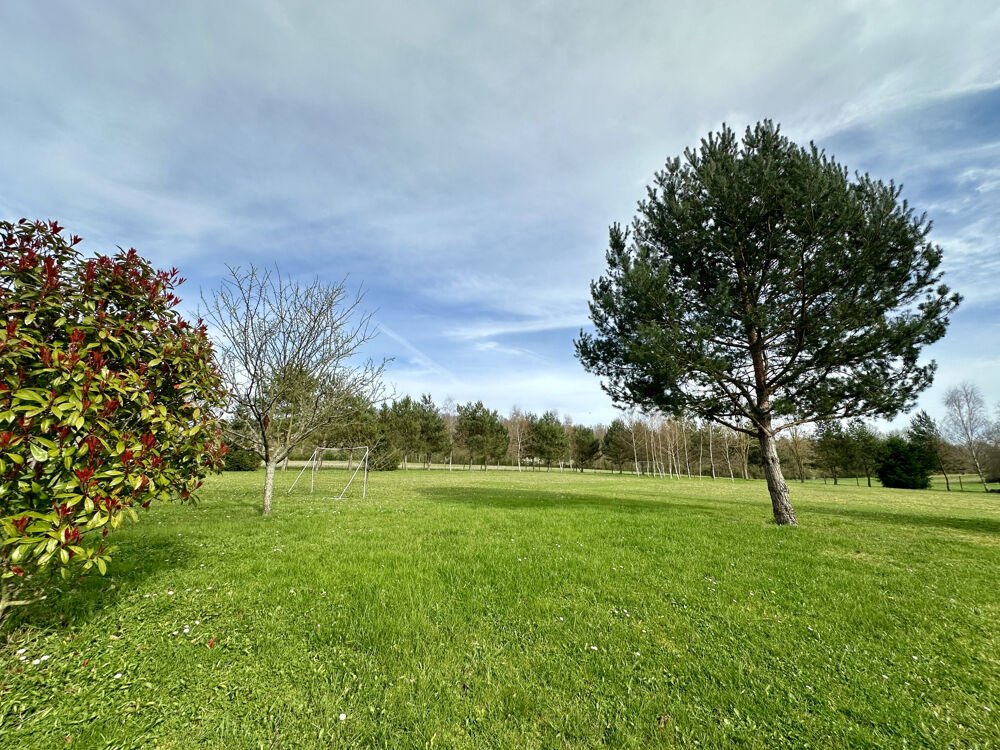 � vendre  Propri�t�/ch�teau Perthes (77930)