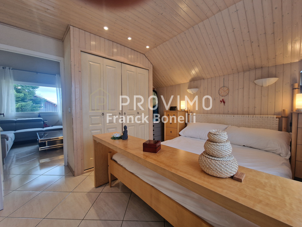 � vendre  Propri�t�/ch�teau Saint-Julien-en-Genevois (74160)