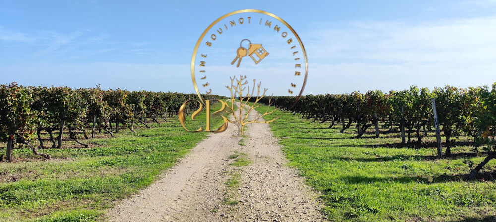  vendre  Proprit/chteau Saint-Ciers-sur-Gironde (33820)