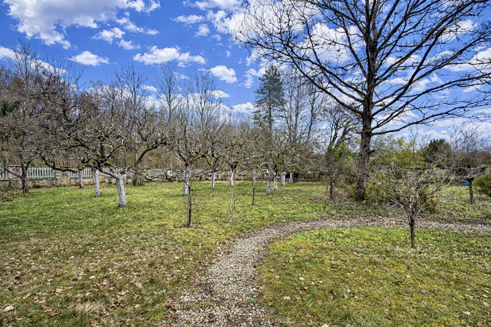 Vente Propriété/Château Ancien Pavillon de Chasse clos de Murs. Chatel censoir