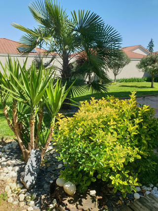  Maison à vendre 7 pièces 165 m²