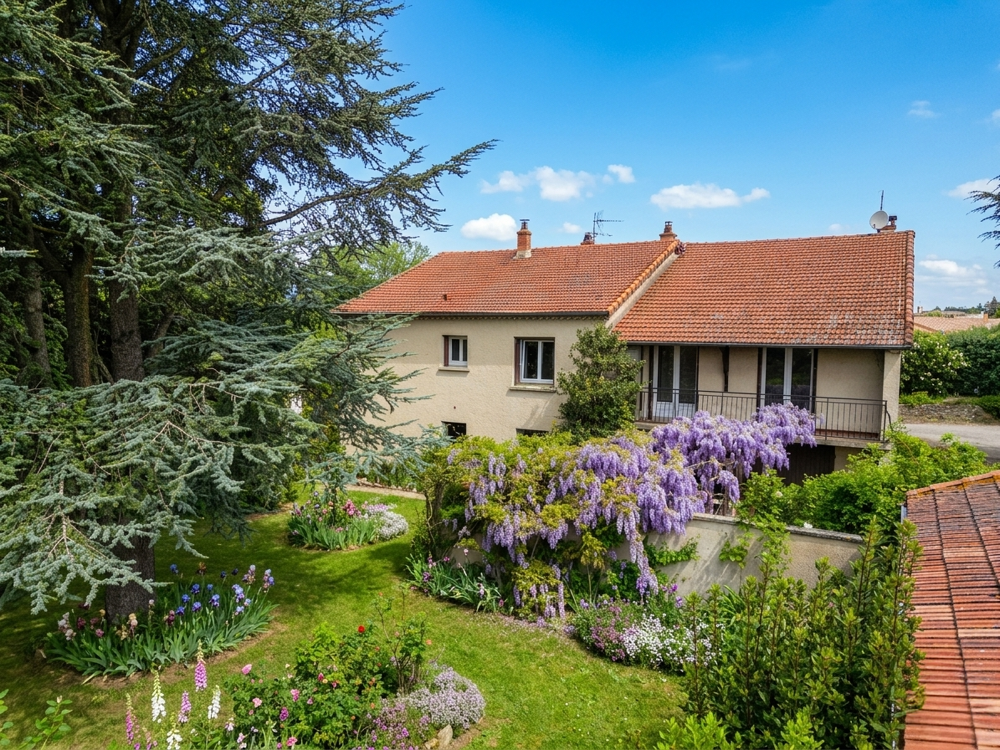 GRANDE MAISON DE FAMILLE - FORT POTENTIEL