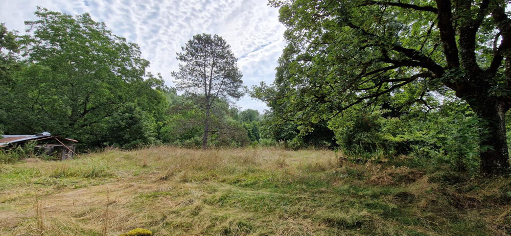 Vente Terrain Terrain constructible TREPT. Trept