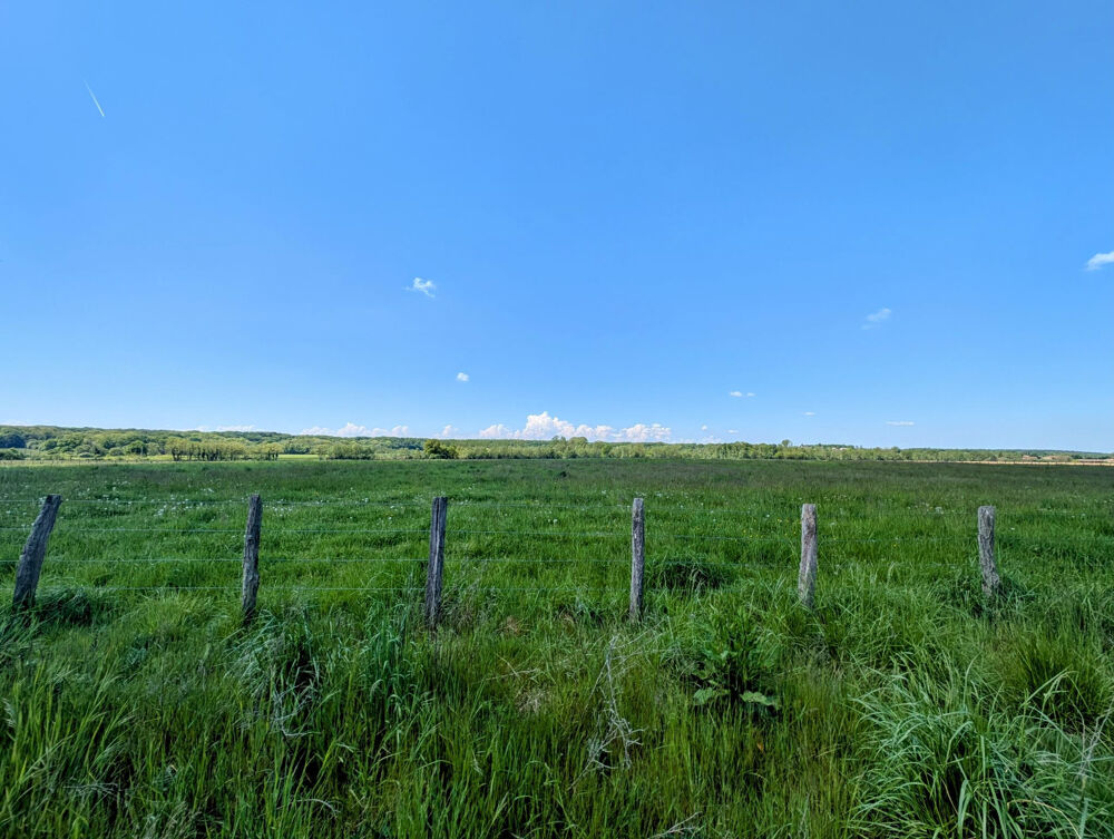 Vente Ferme Grange à rénover d'environ 116 m2 La trancliere