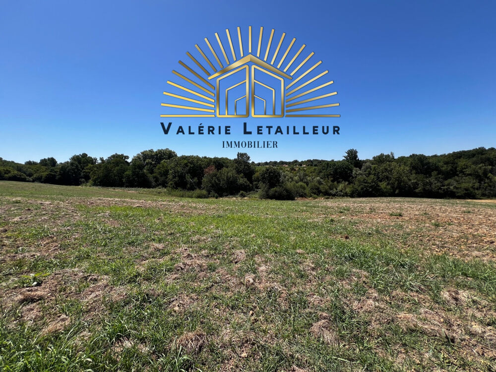 Vente Terrain Terrain agricole 23920m2 Pompignac