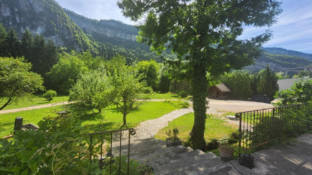 � vendre  Propri�t�/ch�teau Saint-Julien-en-Genevois (74160)