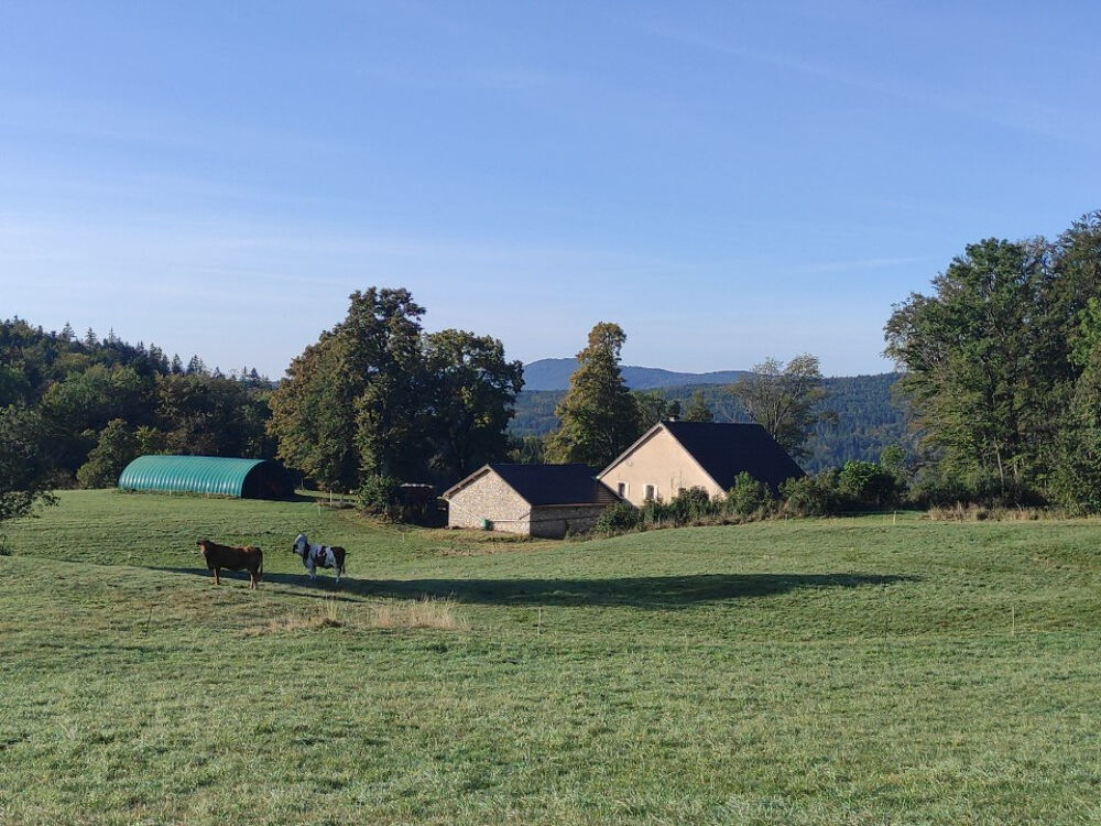 Vente Ferme ancienne ferme isolée en pleine nature Plateau d hauteville