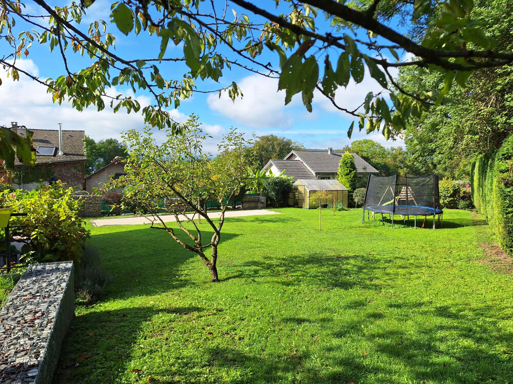 � vendre  Propri�t�/ch�teau Cernex (74350)