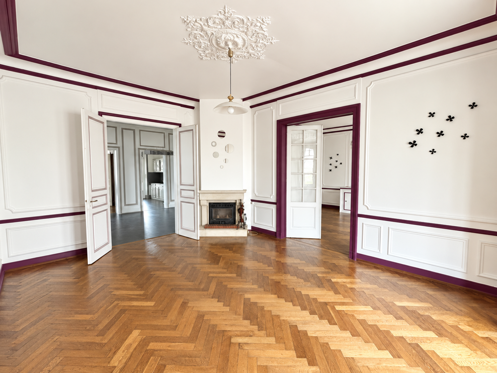 Vente Maison Mulhouse bas Rebberg Maison bourgeoise de 385 m2 sur 3 niveaux 12 pièces 9 chambres sur 5.10 ares de terrain. Mulhouse