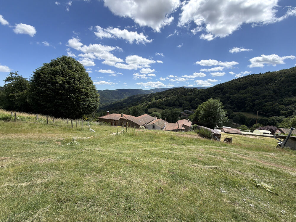 Vente Maison Corps de ferme à vendre, annexes et piscine Bourg argental
