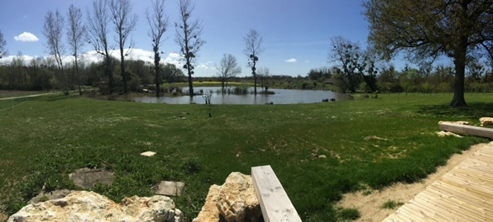 � vendre  Propri�t�/ch�teau Champagne (17620)