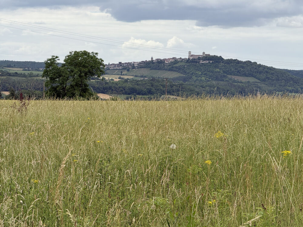 Vente Terrain Terrain constructible vue sur Vézelay Vézelay