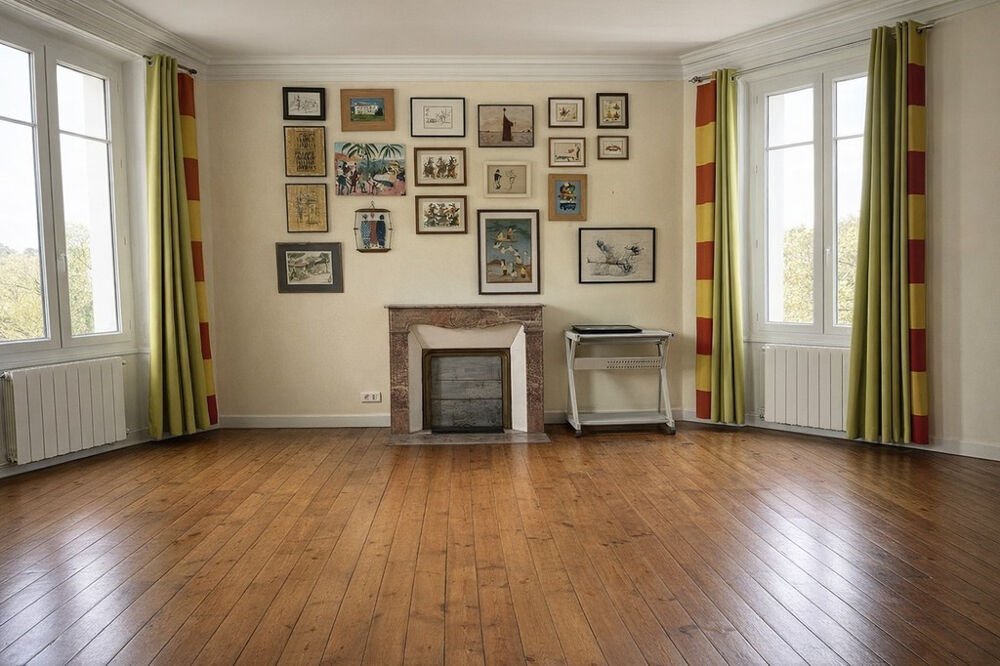 � vendre  Propri�t�/ch�teau Saint-Brice (16100)