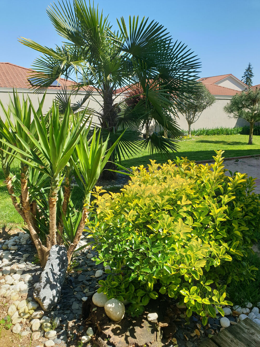Maison de 165 m2 habitable sur un terrain de 511 m2 clos et aménagée.
