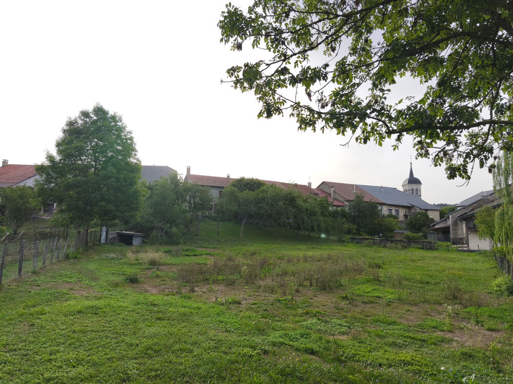 maison en pierre avec terrain de 2100m2