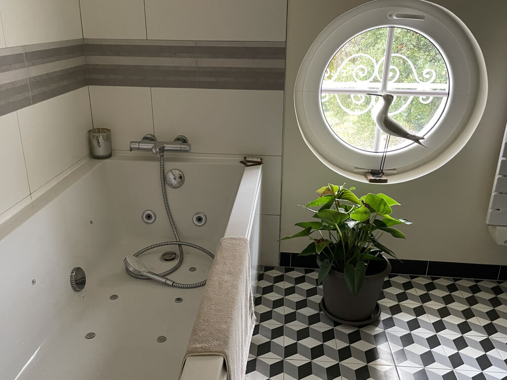  vendre  Proprit/chteau Cognac (16100)