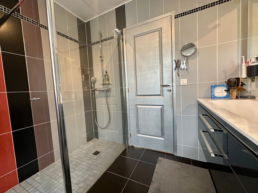  vendre  Proprit/chteau Saint-Sauveur-sur-cole (77930)