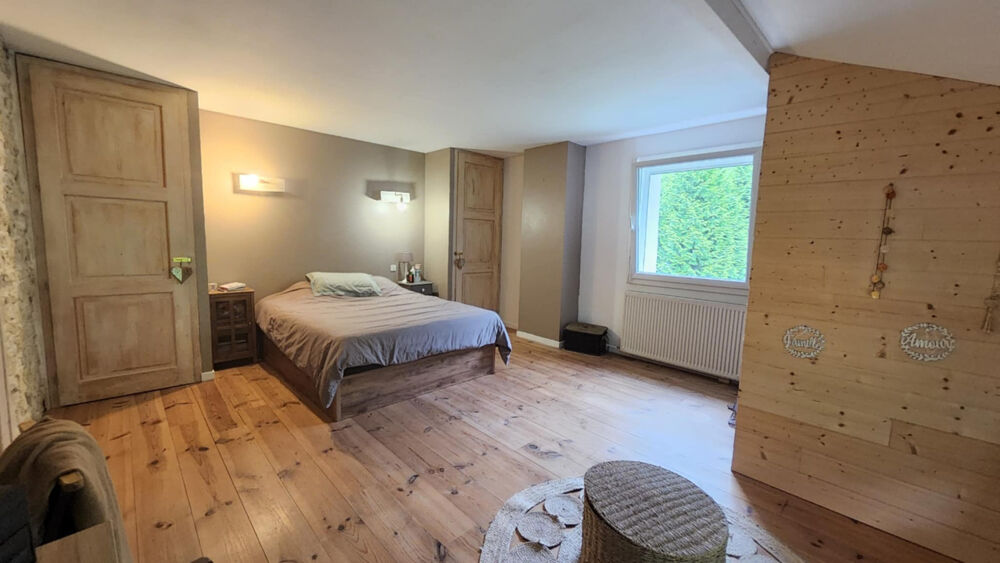 � vendre  Propri�t�/ch�teau Saint-Julien-en-Genevois (74160)