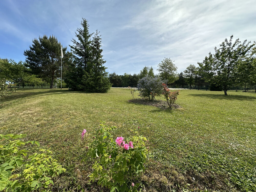  vendre  Proprit/chteau Saint-Sauveur-sur-cole (77930)