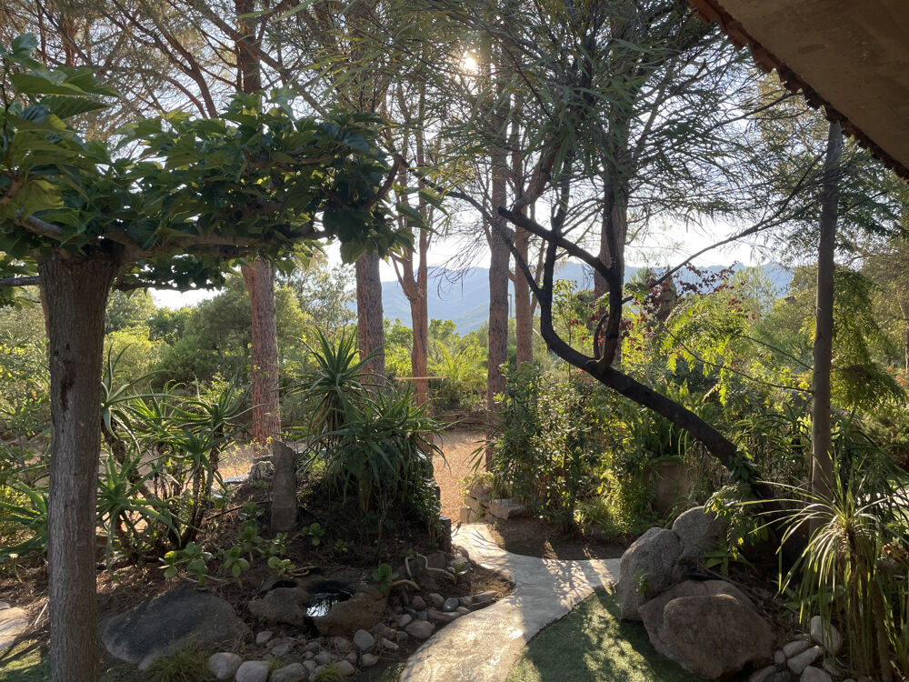 � vendre  Maison Porto-Vecchio (20137)