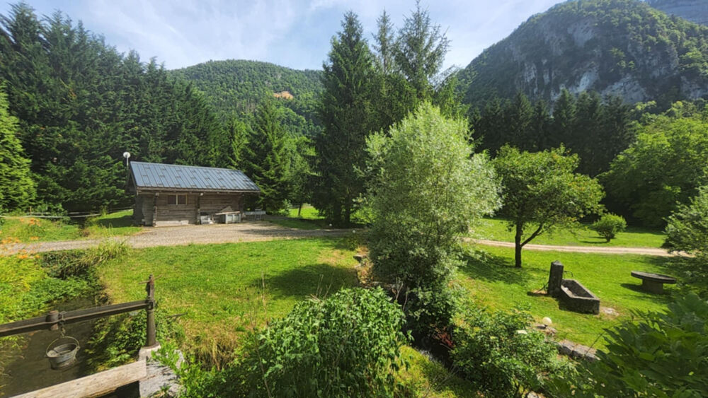 � vendre  Propri�t�/ch�teau Saint-Julien-en-Genevois (74160)