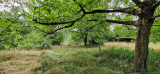  Terrain � vendre 9021 m� Trept