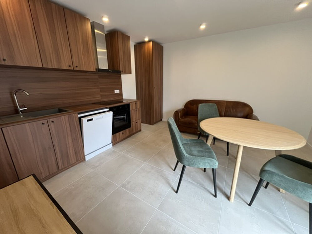 Location Appartement Appartement meublé rénové neuf T1 St andre de corcy