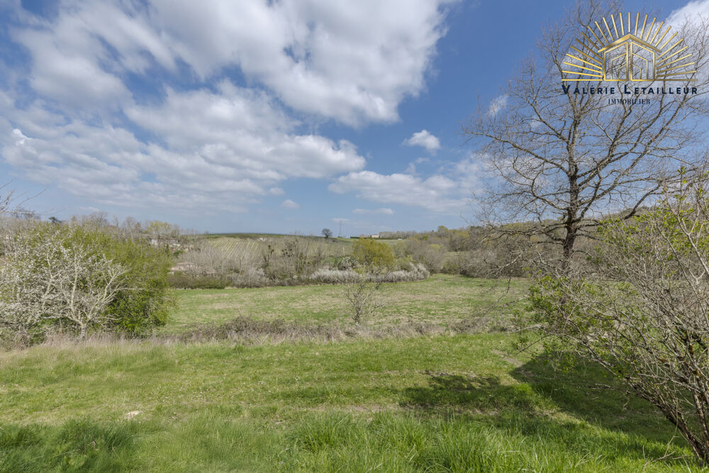  vendre  Proprit/chteau Beychac-et-Caillau (33750)