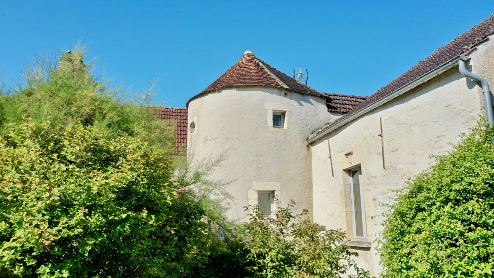 Vente Propriété/Château Propriété d'exception au cœur de Noyers-sur-Serein Noyers
