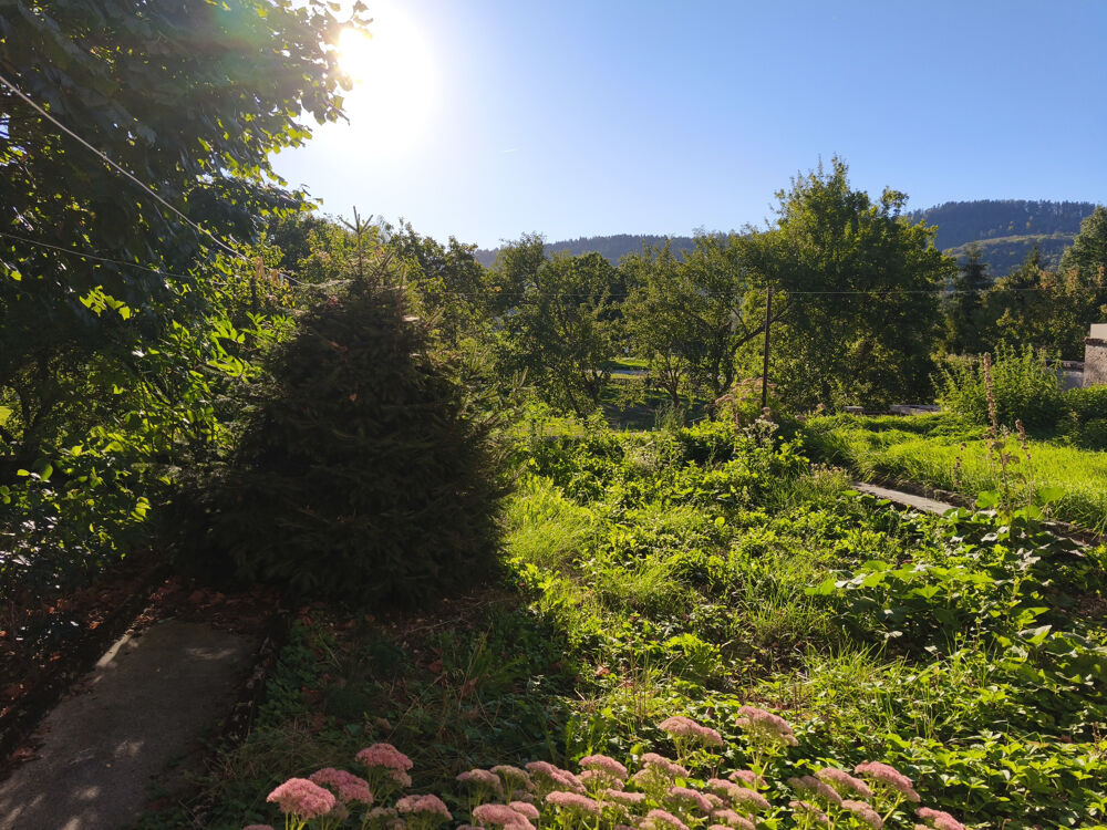 maison en pierre avec terrain de 2100m2