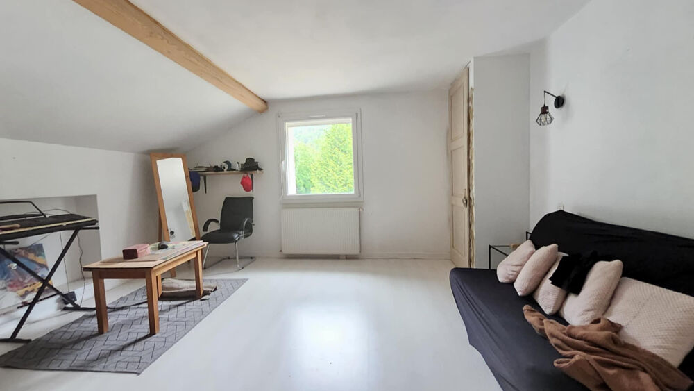 � vendre  Propri�t�/ch�teau Saint-Julien-en-Genevois (74160)