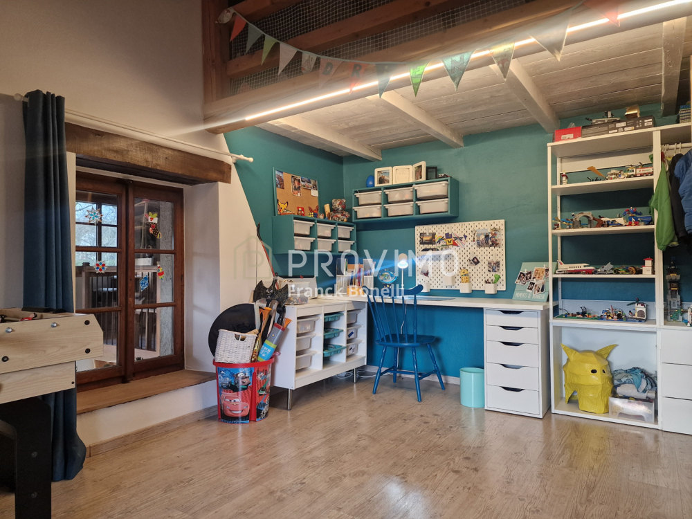 � vendre  Propri�t�/ch�teau Cernex (74350)