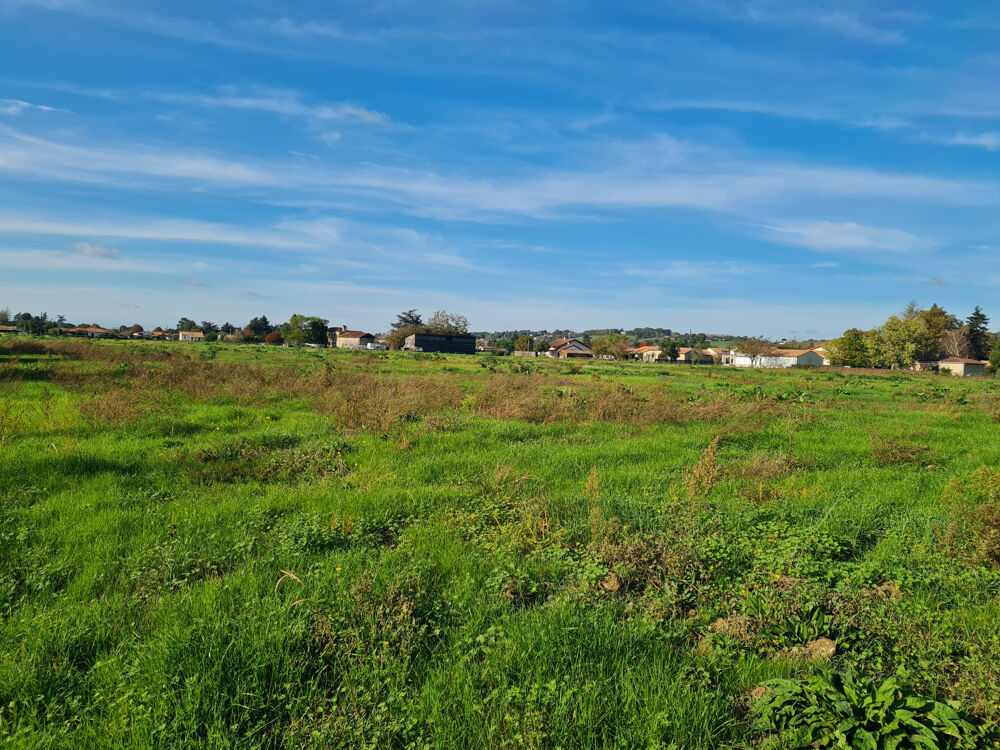 Vente Terrain Terrains 3.9 ha plat Marmande