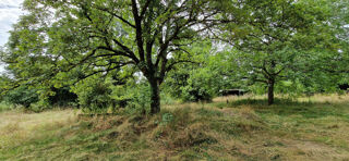  Terrain � vendre 9021 m�