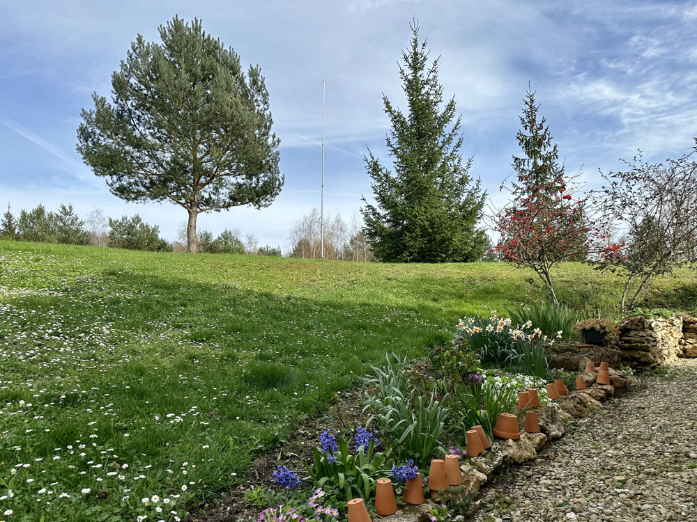  vendre  Proprit/chteau Saint-Sauveur-sur-cole (77930)