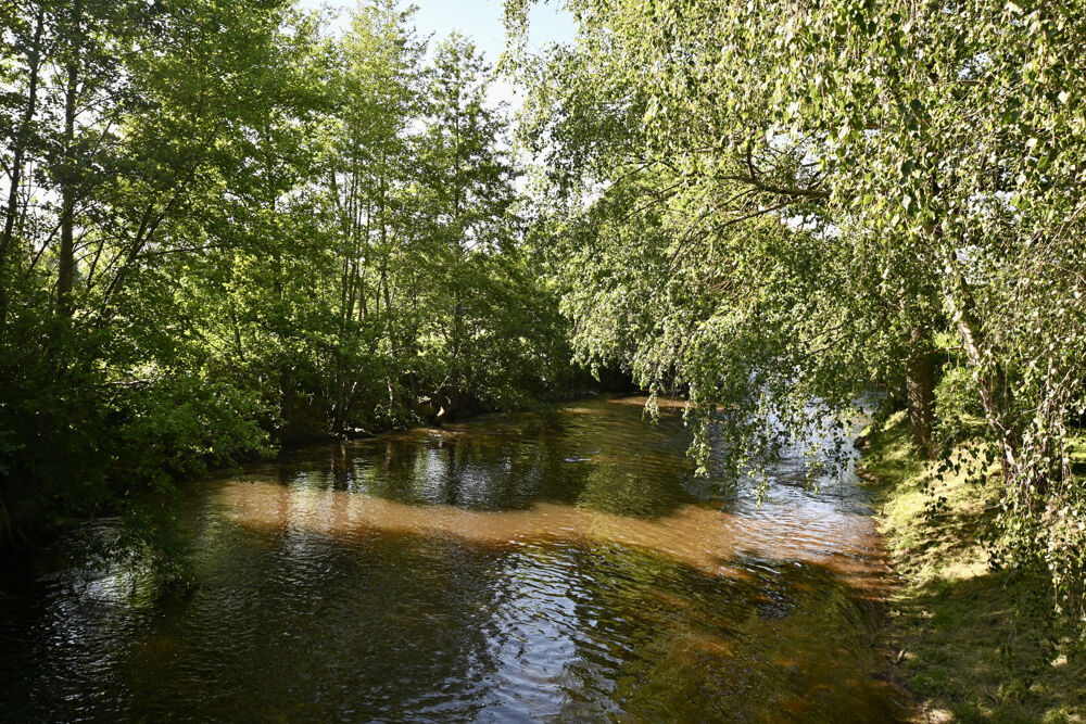 à vendre  Propriété/château Vault-de-Lugny (89200)