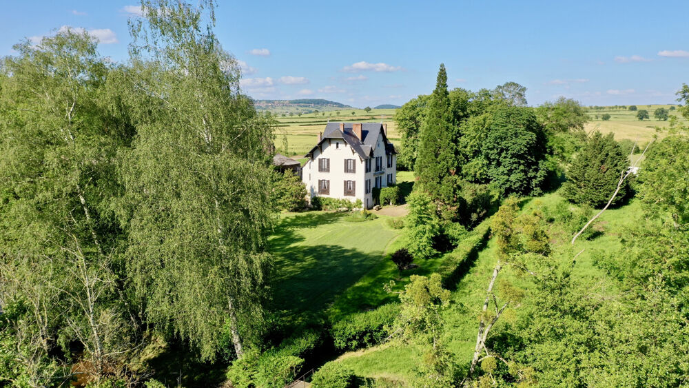 Vente Propriété/Château Domaine de caractère à fort potentiel touristique Vault de lugny