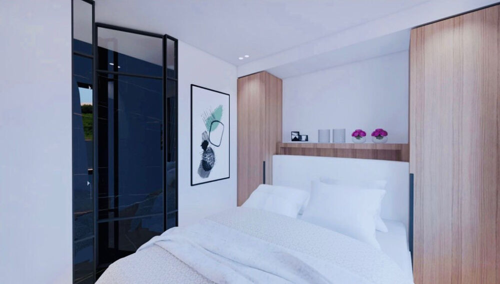  vendre  Duplex/triplex Cannes (06400)