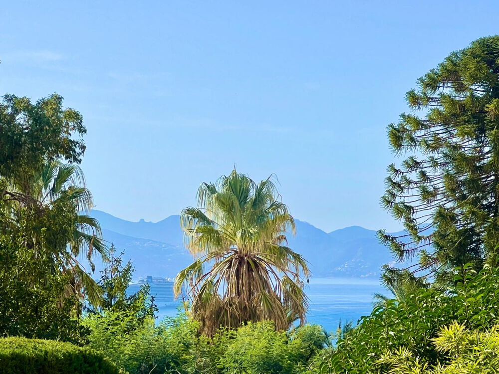 à vendre  Maison Cannes (06400)