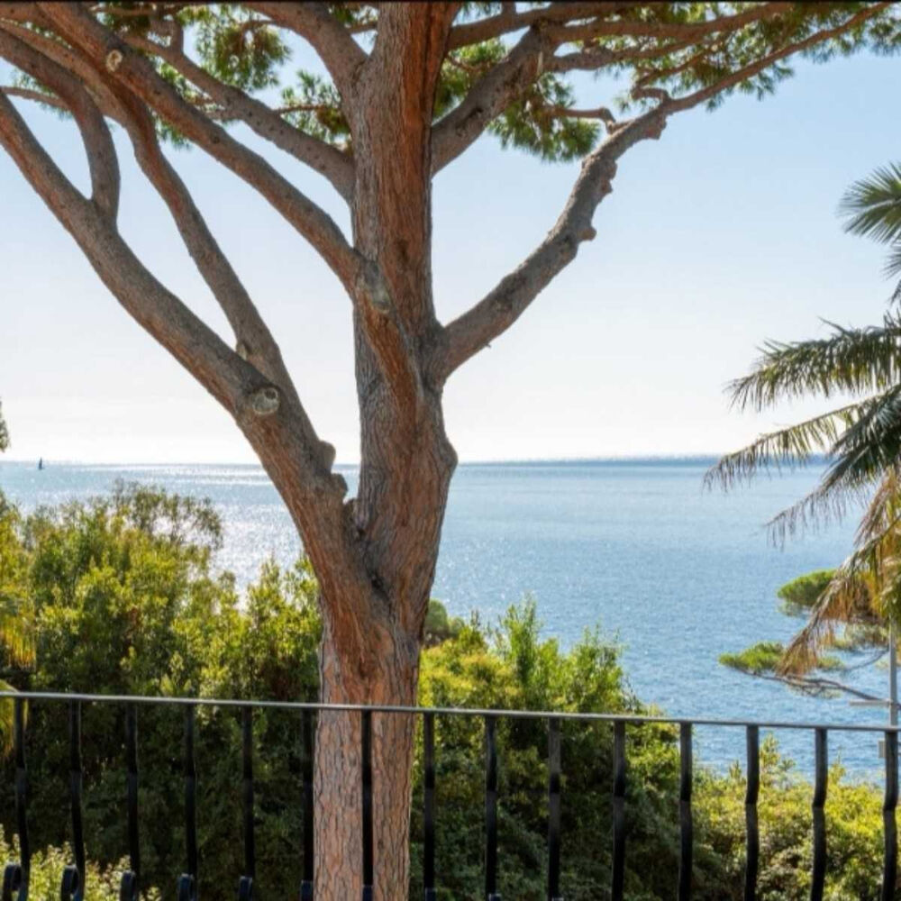 Vente Maison CANNES  BASSE CALIFORNIE VILLA T7 DE 270M2 VUE MER PISICINE Cannes