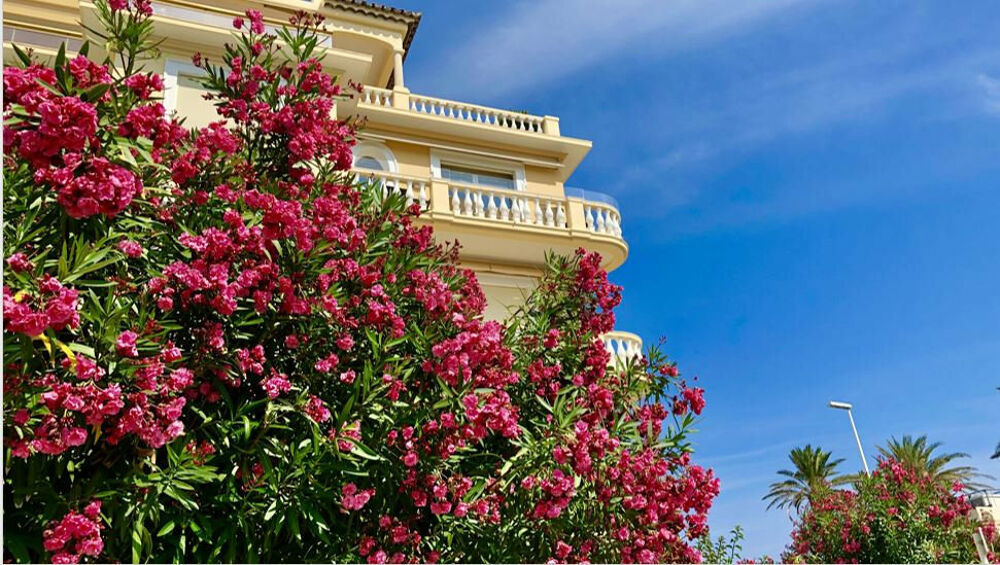 CANNES PALM BEACH - EXCEPTIONNELLE VUE MER - T2 60 M2