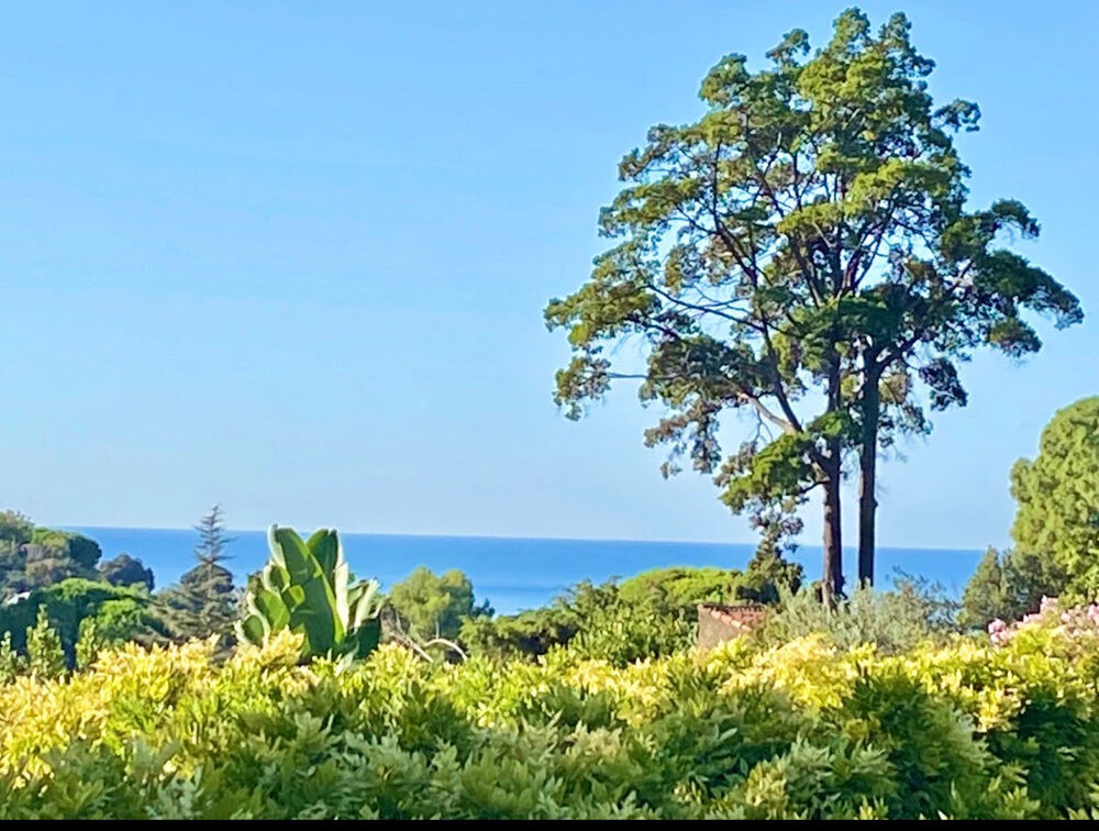 Vente Maison CANNES CALIFORNIE SOMPTUEUSE VILLA T8 DE 729m2 VUE MER PISCINE TERRAIN DE 5700m2 VUE MER Cannes