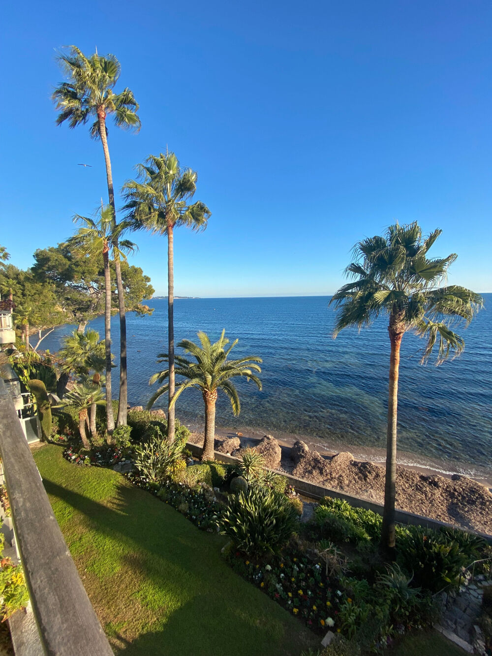  vendre  Appartement Cannes (06400)